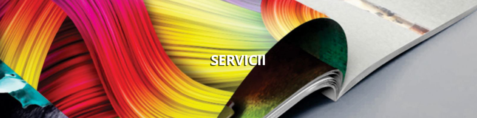 servicii